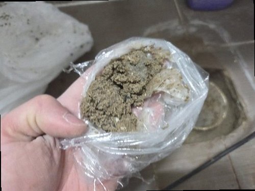 오산 누수탐지 천장 누수 자국과 점검 기록을 확인하는 모습