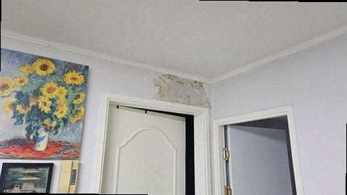 권선구 누수탐지 수도계량기와 압력 게이지를 확인하는 누수 점검 현장