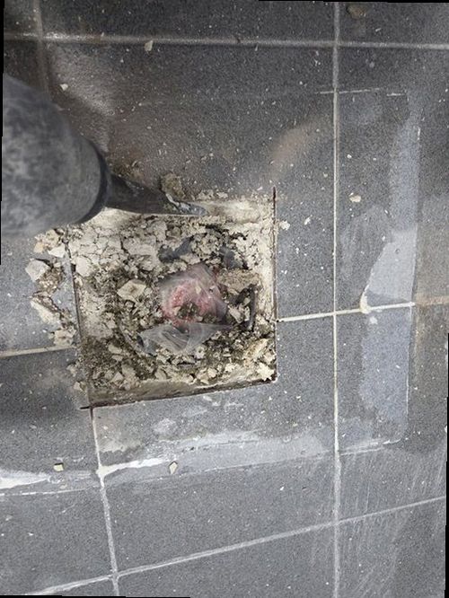 안성 누수탐지 욕실과 아래층 천장의 누수 흔적을 비교하는 현장 점검