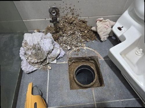 병점구 누수탐지 천장 누수 흔적과 배관 점검 전 현장 모습