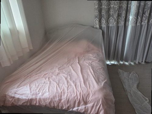 의정부 누수탐지 안방 천장 얼룩과 벽면 습기 흔적을 확인하는 현장