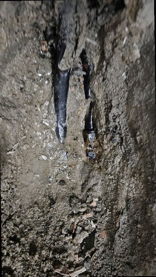 마포구 누수탐지 벽지 들뜸과 벽면 습기 흔적을 확인하는 현장
