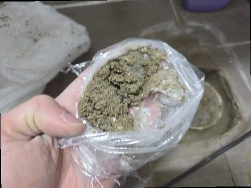 강화군 누수탐지 천장과 벽면에 나타난 누수 얼룩과 습기 흔적