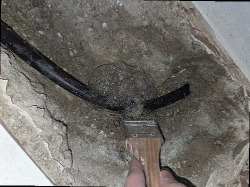 서해구·검단구 누수탐지 천장 모서리와 벽지에 번진 누수 흔적을 확인하는 현장