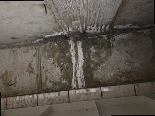 부산 북구 누수탐지 수도계량기 별침과 누수 피해 천장을 확인하는 현장