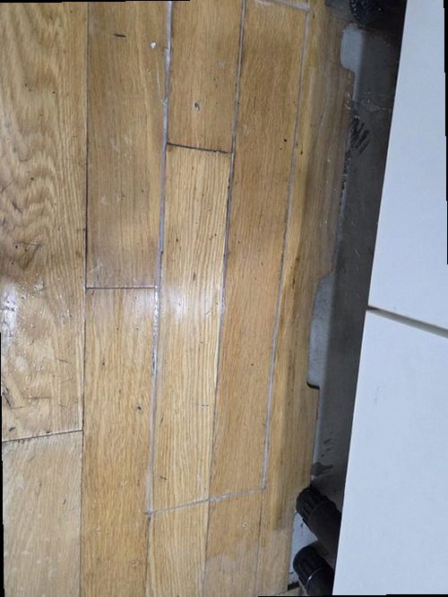 덕양구 누수탐지 거실 천장 물자국과 벽면 상태를 확인하는 현장