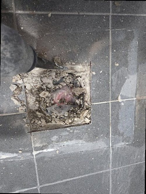 옹진군 누수탐지 계량기와 열화상 카메라를 활용한 누수 원인 확인 장면