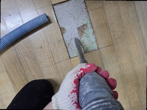 관악구 누수탐지 천장 누수 흔적과 곰팡이 발생 부위를 확인하는 모습