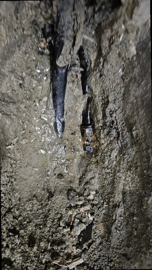 부산 동구 누수탐지 범일5동